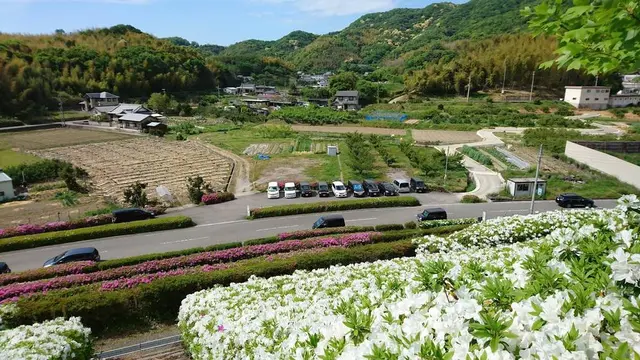 秋の和歌山自然巡り🍁