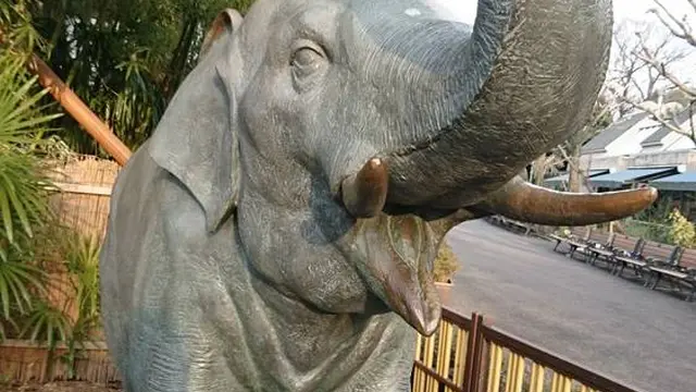 2023年秋　初　上野動物園