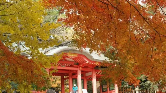紅葉🍁香取神宮⛩と成田山新勝寺と食べ歩き🍡🍘