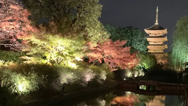 京都✨