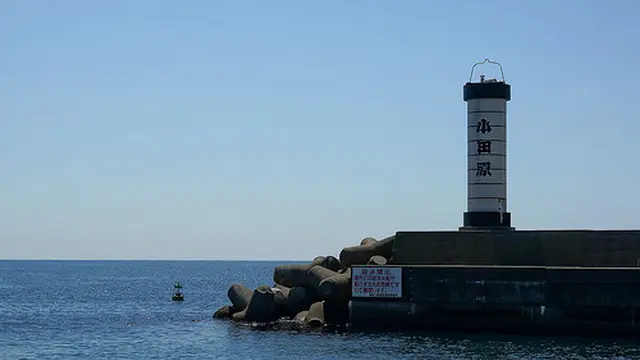 小田原漁港で美味しい魚を堪能した後は、相模湾を一望できる一夜城ヨロイヅカファームで絶品スイーツを！