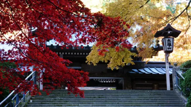 紅葉が見事な古刹「大雄山最乗寺」を中心にハイキングがてら巡る南足柄の名所