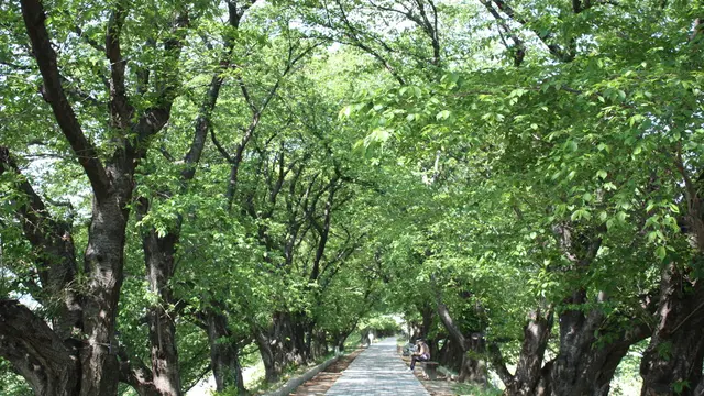 マイナスイオンを求めて、京都・八幡市をサイクリングでぶらり旅。