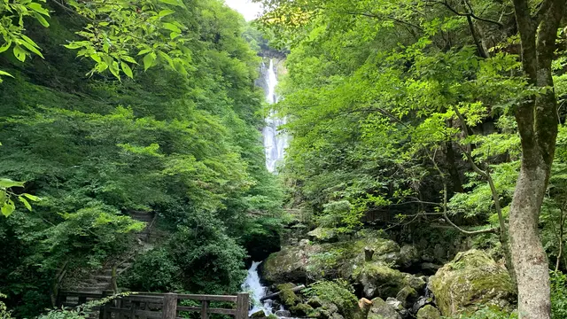 【岡山県】高梁・新見・真庭を満喫する1泊2日ドライブ旅🚗✨！