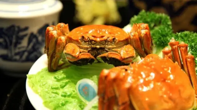 《中国・上海編》食欲の秋に上海蟹を食べに行こう🦀CAと巡る上海１泊2日旅！