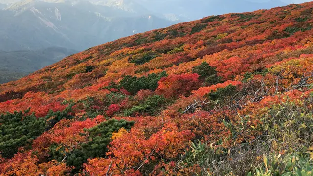 【宮城】シーズン到来！紅葉の名所🍁栗駒山を訪れる1泊2日