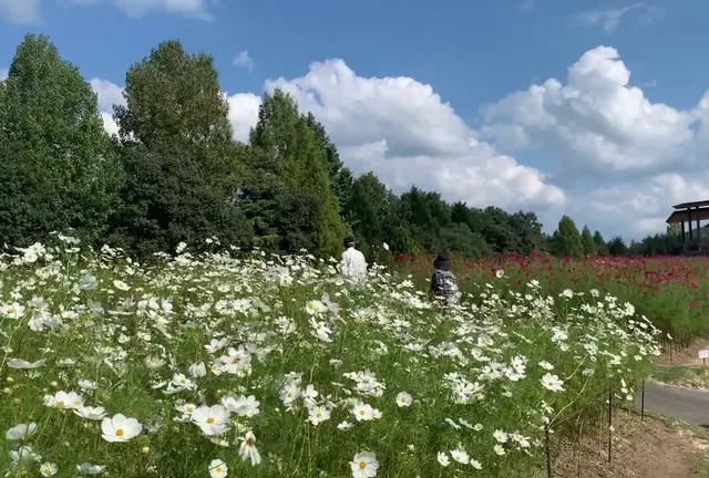 【広島県】三次・庄原いいとこ取り！弾丸日帰り旅🚙