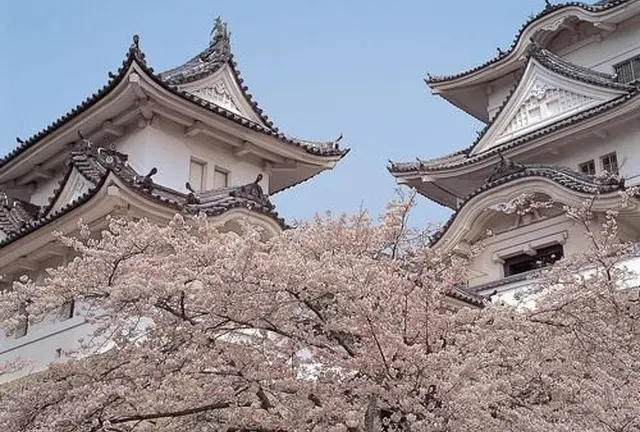三重と奈良ひとりたび