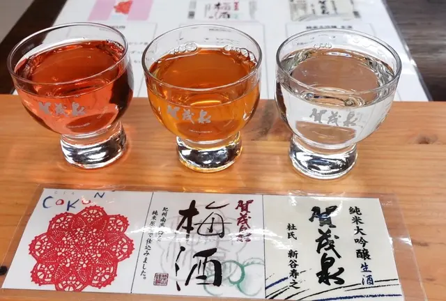 【広島県】日本酒の街・西条🍶昼から美味しいお酒を飲み歩くグルメプラン🤤