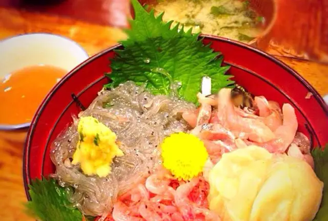 夏を感じたい！そんなあなたに静岡旅はいかが？