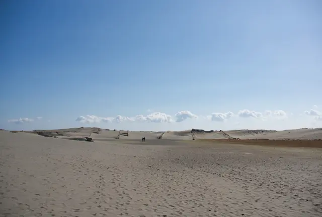 浜松と云えばうなぎ・・・というのはありきたり。なんと、映画「清須会議」のロケ地の砂丘もあるよ!