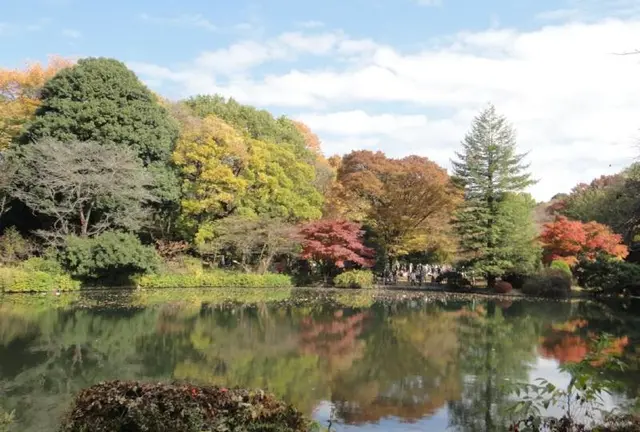 11月16日は、家族で日立中央研究所の庭園におでかけして美しい紅葉を楽しみませんか。