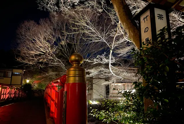 修善寺・西伊豆 日帰りTrip🚆