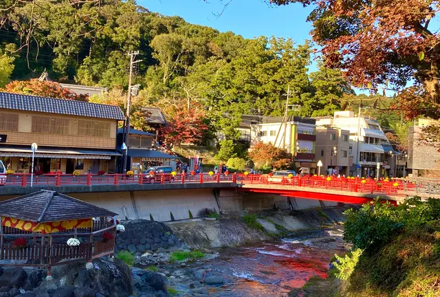 踊り子号で三島🗻修善寺♨️御殿場イルミ🌟2泊3日 行程表有り