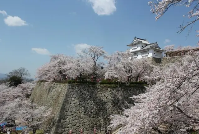 【岡山県】観光列車「SAKU美SAKU楽」に乗って津山を観光🌸