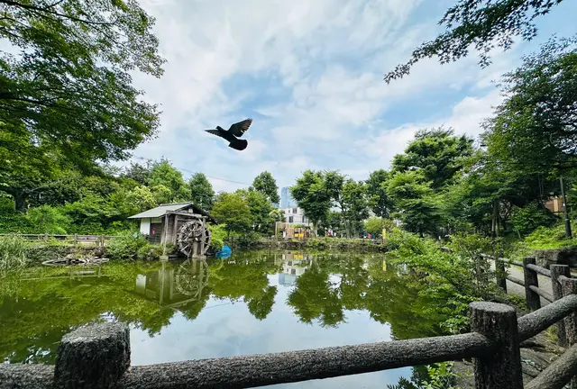 【渋谷】駅周辺の公園マップ🛝穴場/休憩スポット/子どもの遊び場