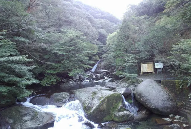 私の九州自然ツアー！