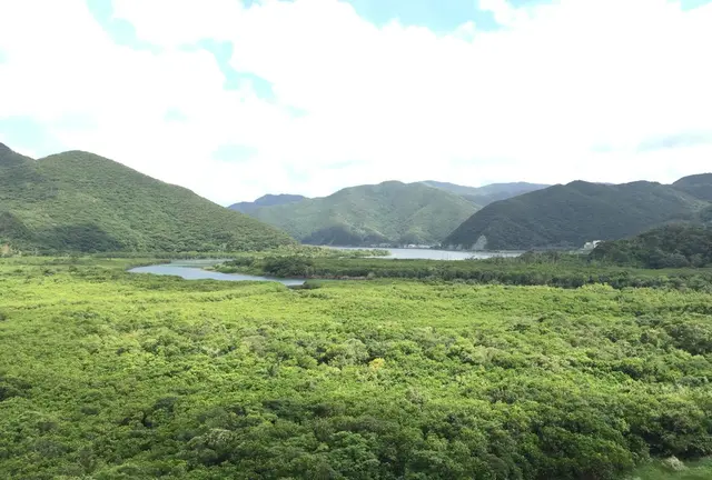 奄美大島の真ん中で自然に浸かる。リピーターの方必見！山に囲まれた住用町でのんびり過ごそう。