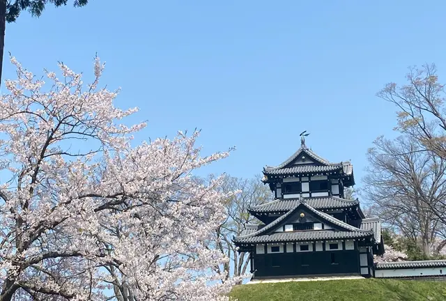 新潟高田城〜長野野沢温泉