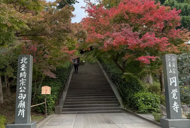 【北鎌倉〜江ノ島】秋の紅葉＆イルミネーション✨…そして美味しいもの