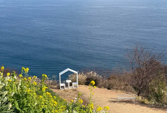 【静岡 熱海】お散歩パート2 青い海 青い空 菜の花の香り ゆったりした時間