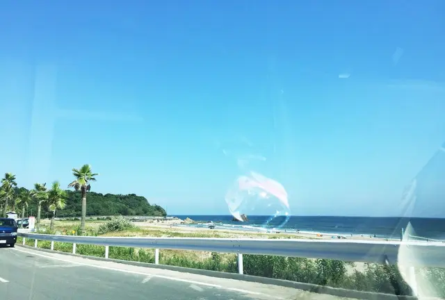 海を満喫
