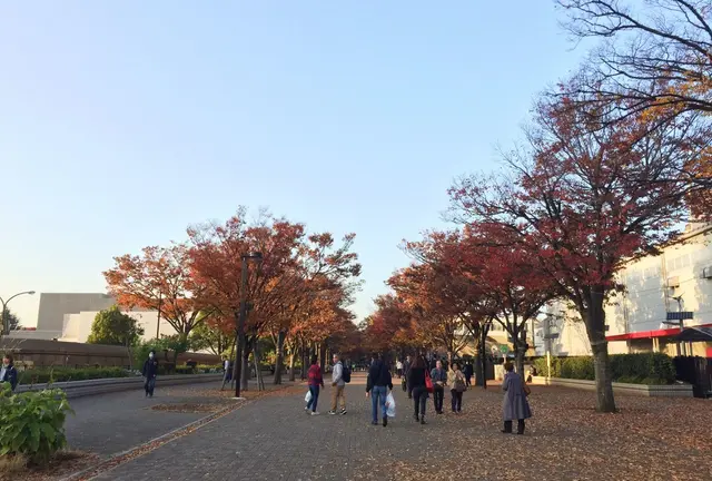 秋の渋谷🍁ゆったりショッピング