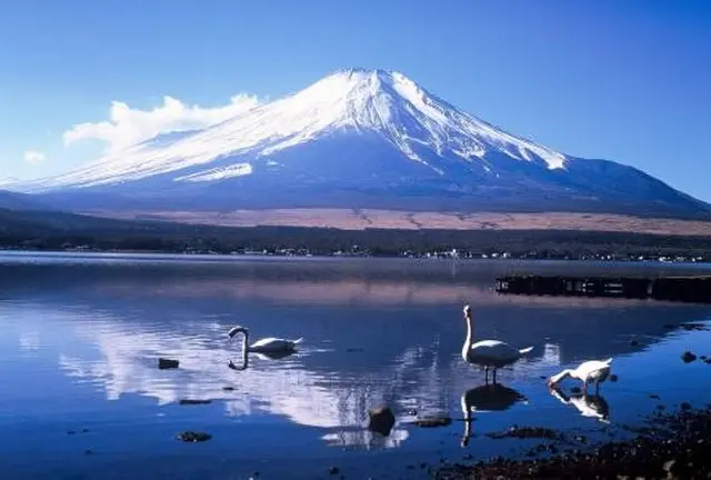 山中湖・河口湖で富士山とスイーツと手作り体験を楽しむ旅