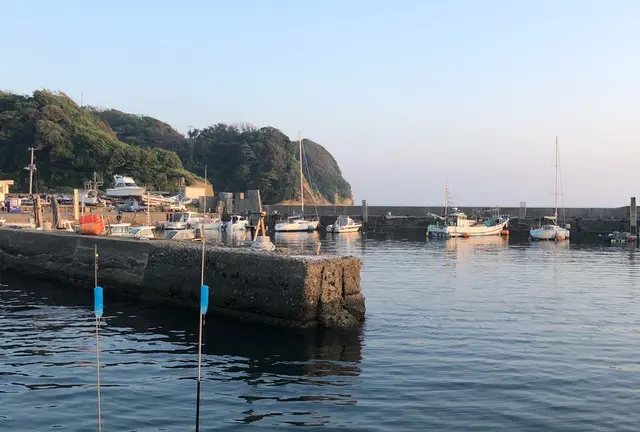 千葉の勝浦の貸切クルーザー海釣り！