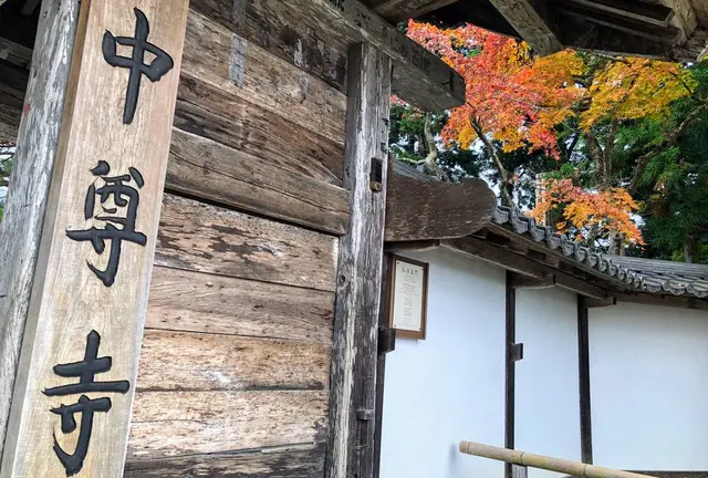 【 岩手 】季節を感じる紅葉とまったり神社とお寺巡り🍁