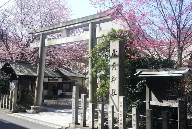 蔵前神社のミモザ&神社寺院の御朱印巡りと法話カフェ
