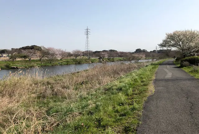 サイクリングde千葉・佐倉