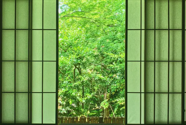 🌿 叡電で巡る 新緑の京都ひとり旅 🌿