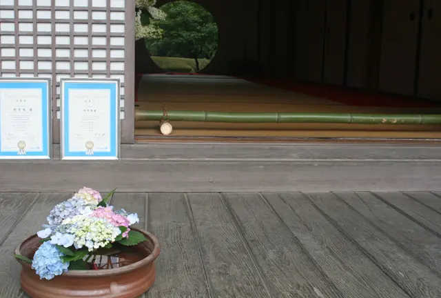 鎌倉紫陽花の名所、寺院3カ所一気巡り