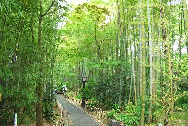 雨の修善寺 温泉街を歩く