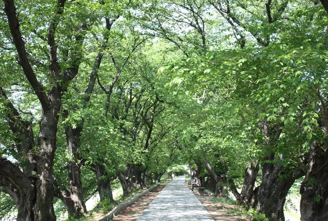 マイナスイオンを求めて、京都・八幡市をサイクリングでぶらり旅。