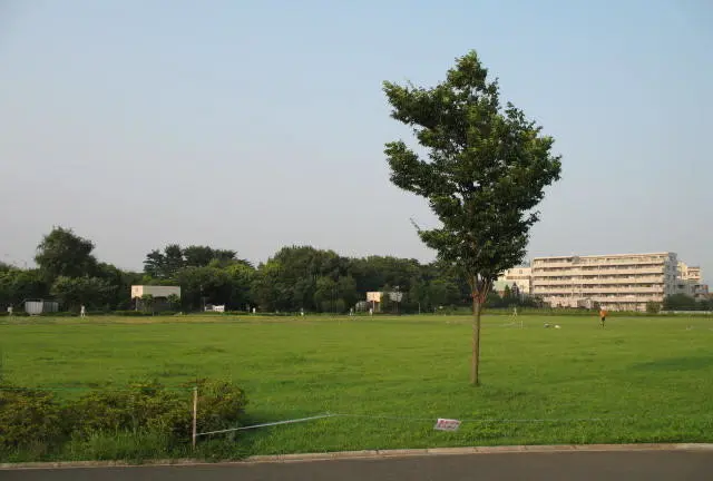 【2022年8月28日放送分】フジテレビ「なりゆき街道旅」で紹介されたお店【東京都中野区】