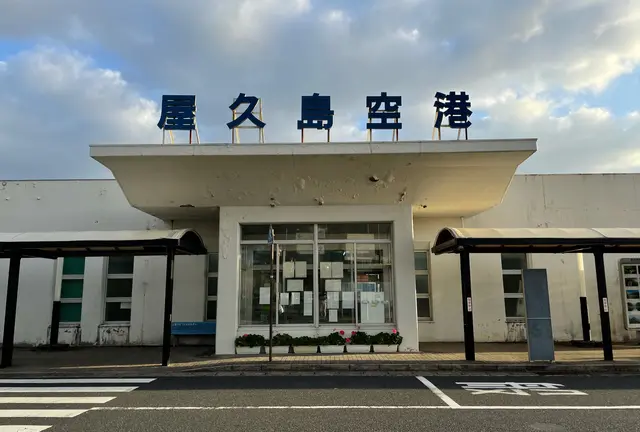 屋久島レンタカー旅🚗主要な見どころを1日で巡るおすすめプラン