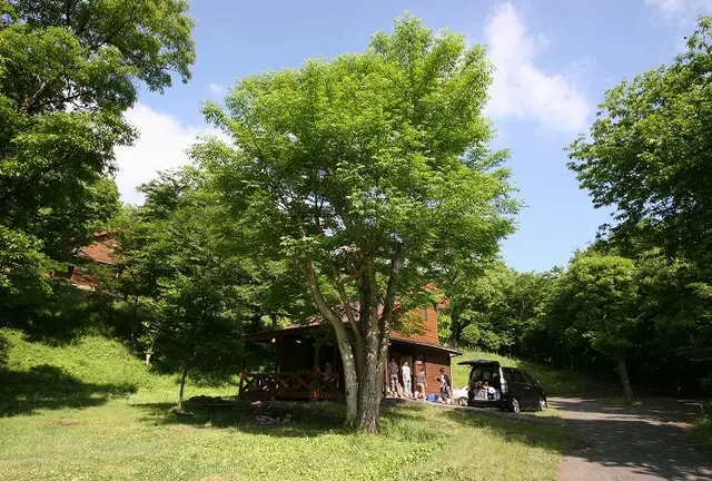 阿蘇日帰り デイキャンプ