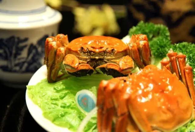 《中国・上海編》食欲の秋に上海蟹を食べに行こう🦀CAと巡る上海１泊2日旅！