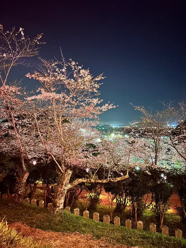 小見川城山公園