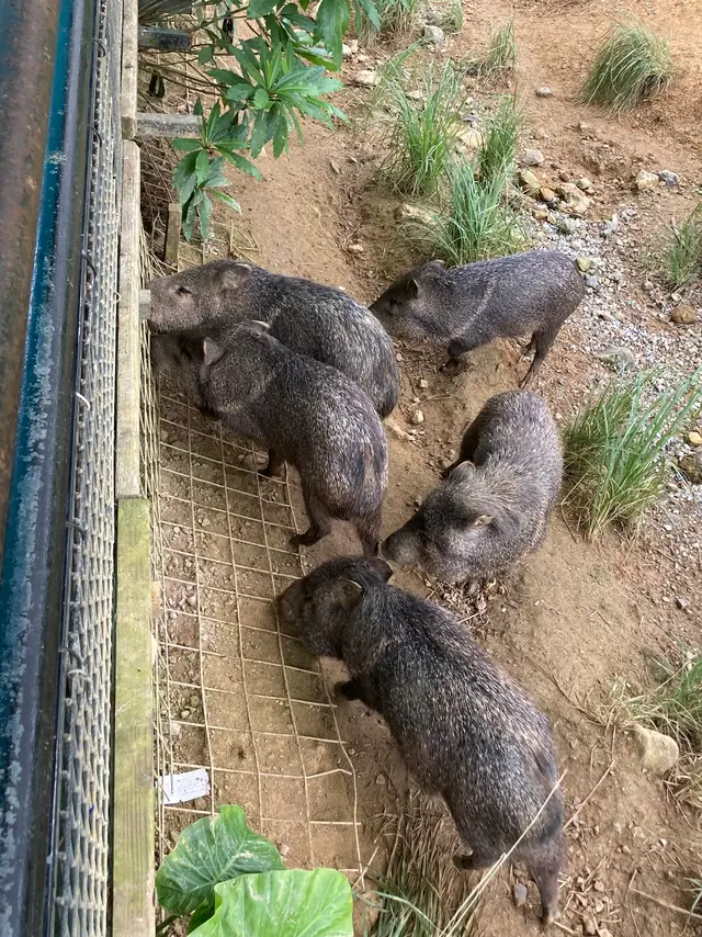 ネオパークオキナワ