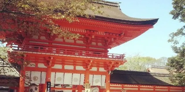 京都 左京区 〜下鴨神社とパンとケーキ散歩〜