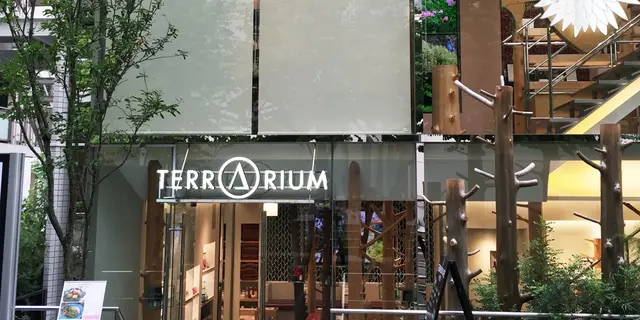 クリスマス🎄綺麗になれる表参道の無料美容スポット☺︎