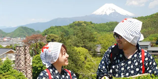 【日本の春を巡る！】絶景富士山!!桜づくしと茶摘み体験