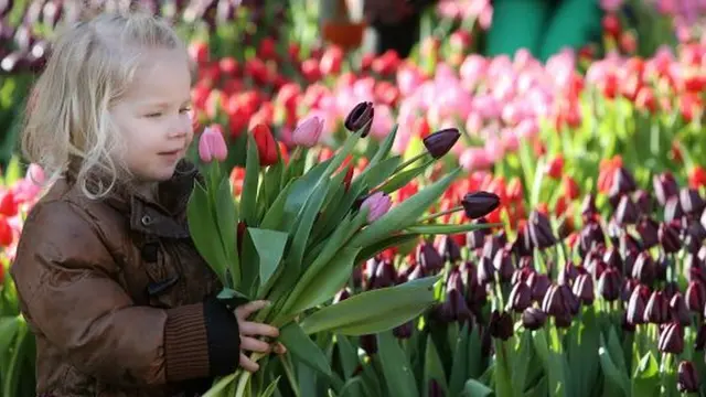 チューリップの国で春の花を楽しむ旅
