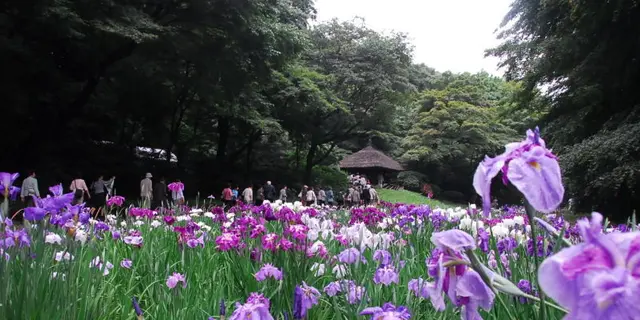 年中楽しめる！全部徒歩圏内の乙女気分に浸るお花たっぷりプラン