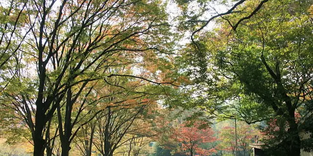 お仕事だけじゃない！週末に満喫する日比谷・丸の内・大手町さんぽ♡