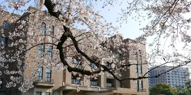 隅々まで探索！知ってるようで知らない鶴舞公園の素顔