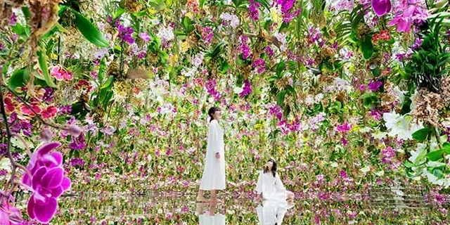 【東京 豊洲】チームラボ⭐︎プラネッツ